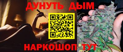 спиды Гатчина
