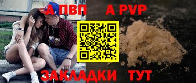 спиды Гатчина