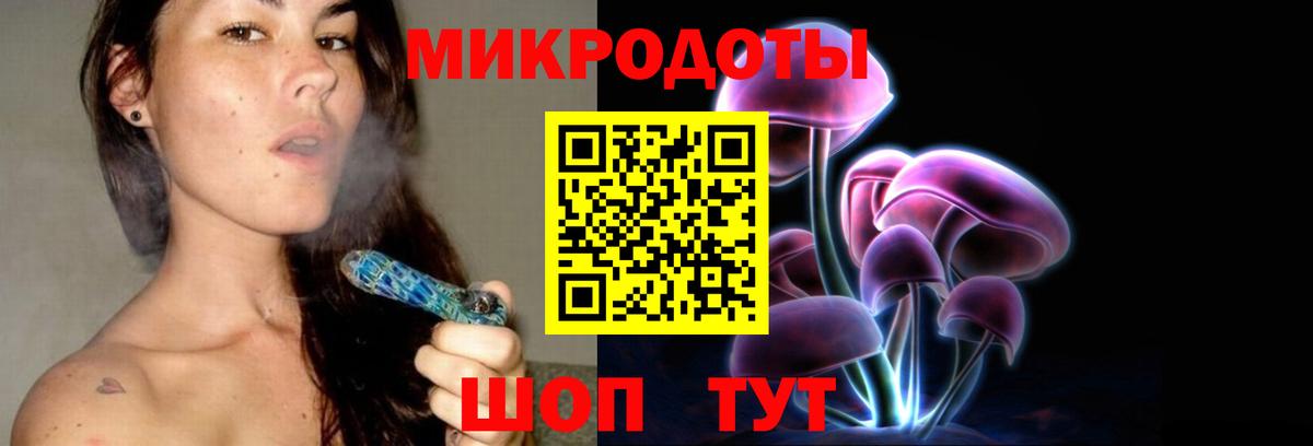 Псилоцибиновые грибы Psilocybe Усинск